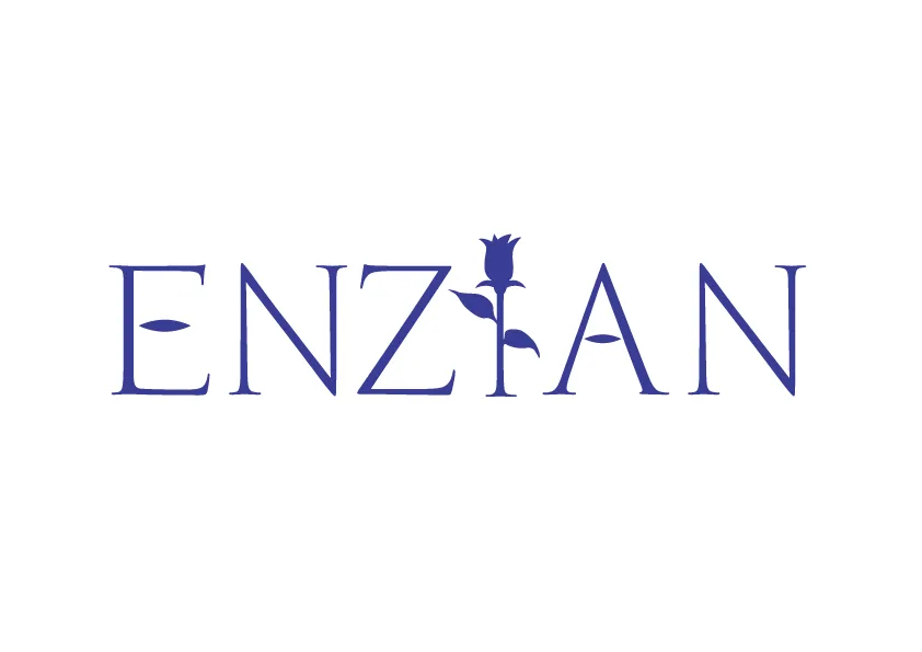 株式会社ENZIANの案件『【C#、ASP.NET】リモート併用』の画像